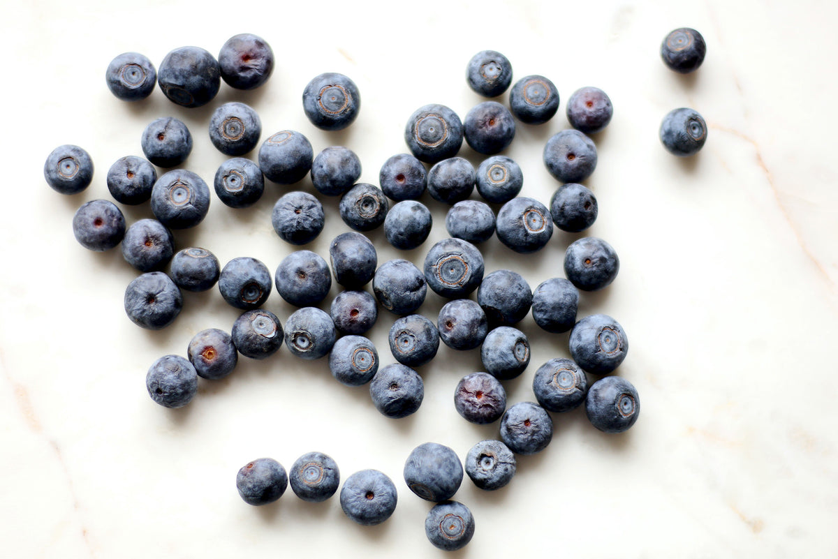 Bilberry Extract for Varicose Veins Vitamins and Supplements Online