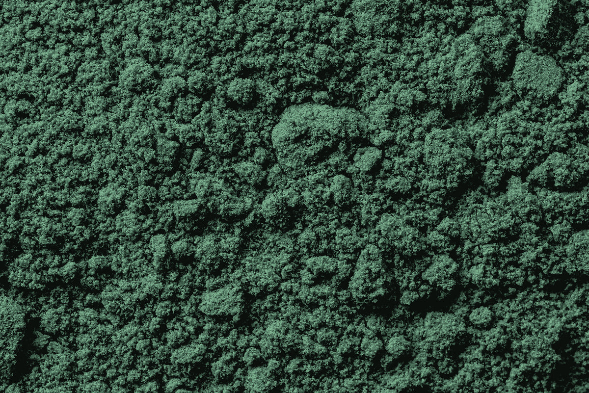 Chlorella supplements role in heavy metal detox Vitamins and