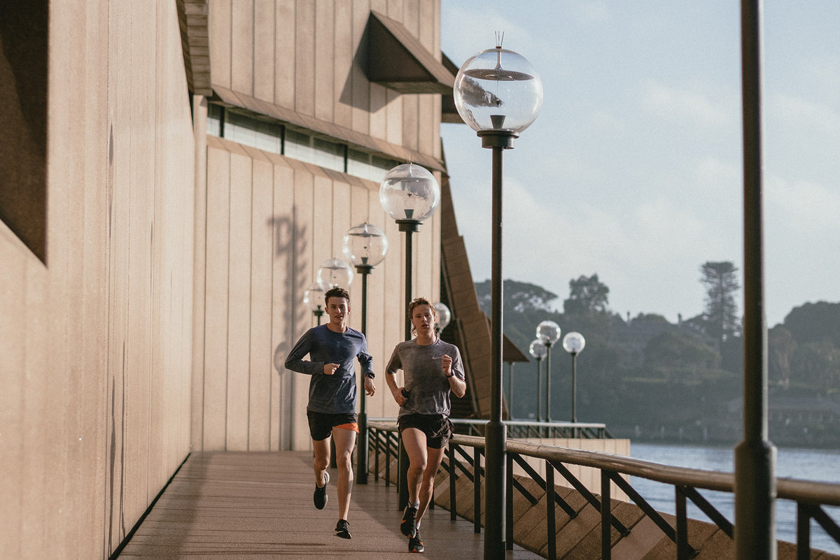 Fenugreek Vs Tribulus Vitamins and Supplements Online Canada Shop With Free Shipping