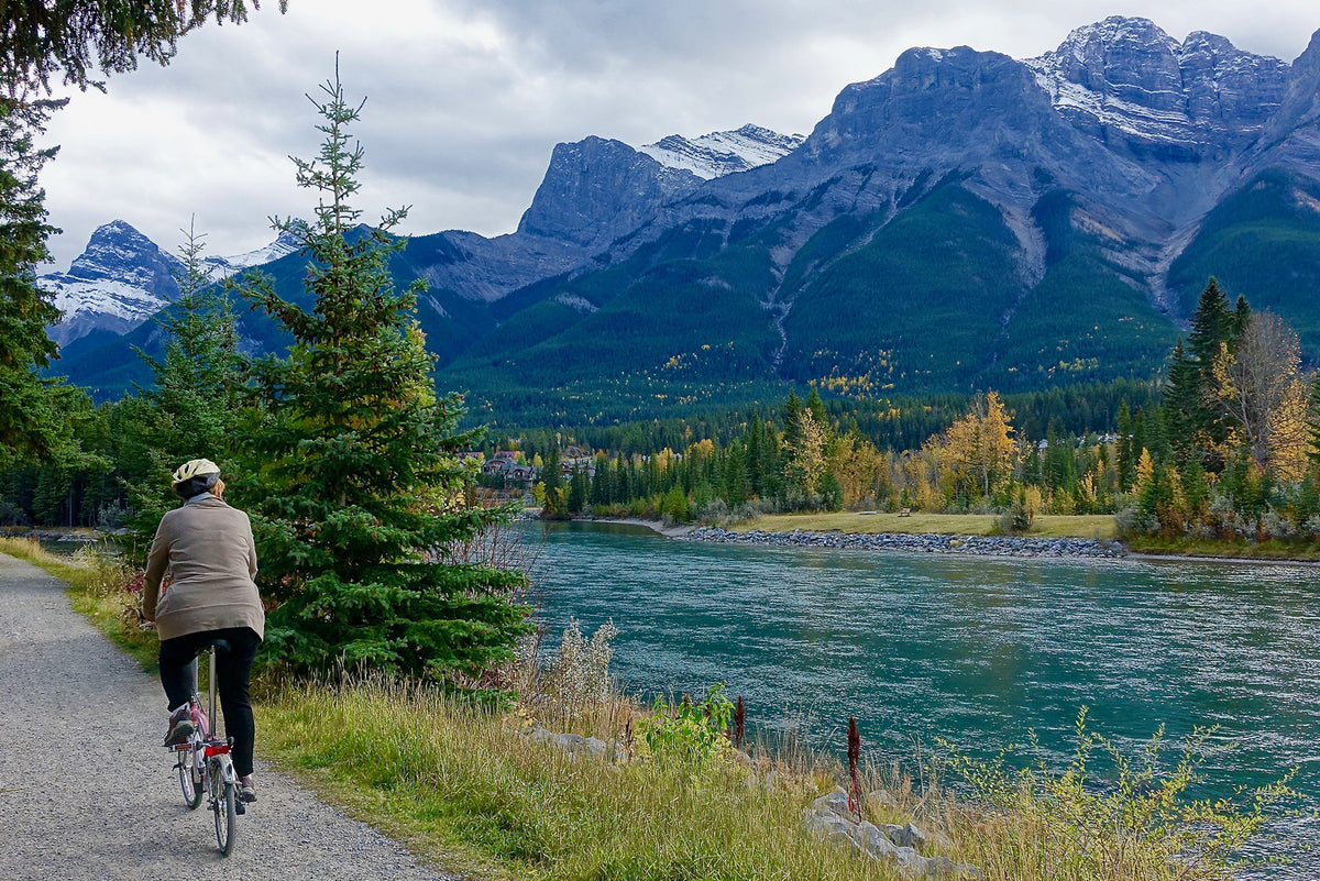 Lycopene and Beta Carotene Vitamins and Supplements Online Canada