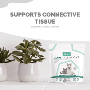 Joint for Cats, Dogs
