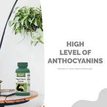 Load image into Gallery viewer, Black Cherry Extract for High Concentration of Anthocyanins