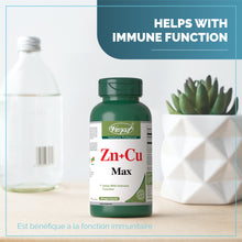 Load image into Gallery viewer, Zinc & Copper for Immune, Essential Mineral