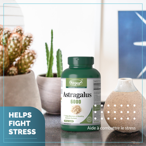 Astragalus 6000mg 180 Vegan Capsules Helps fight Stress