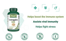 Load image into Gallery viewer, Astragalus for Immune