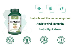 Astragalus for Immune