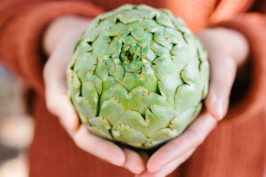 A Delicious Approach to Gallbladder Health: Preventing Stones with Artichokes