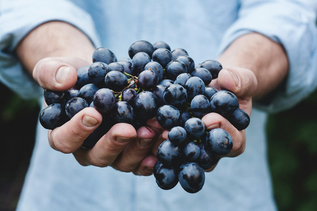 Anthocyanins: what is it and its natural sources