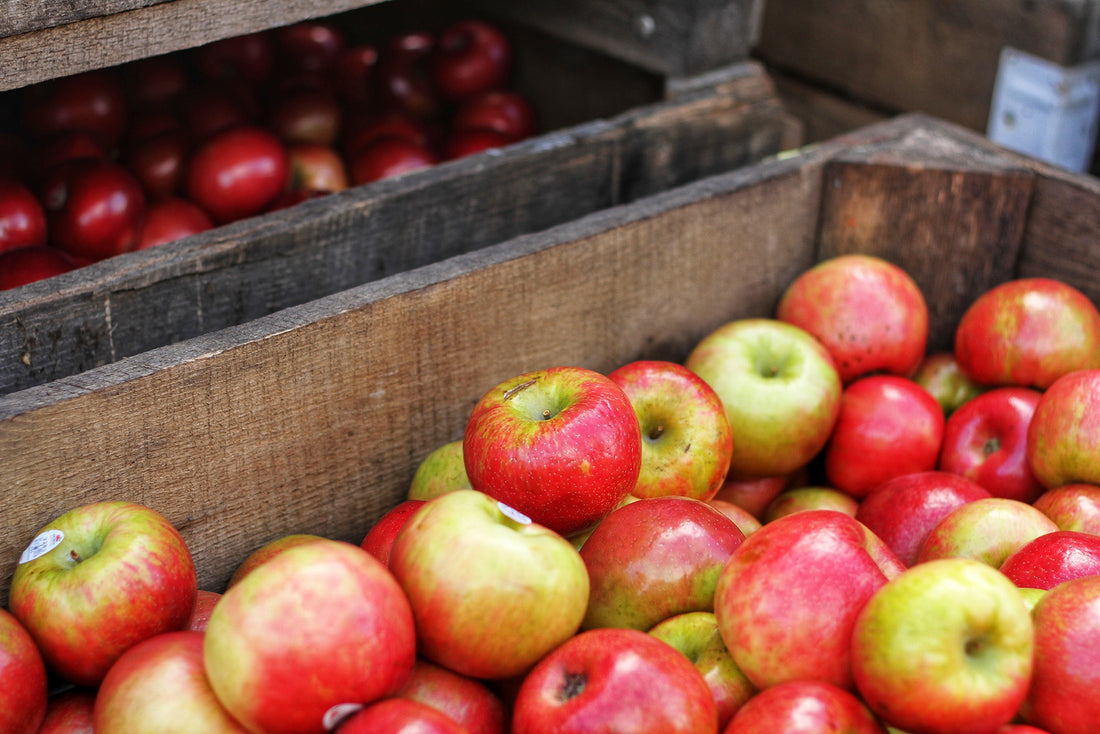 Apple Cider Vinegar and Acid Reflux