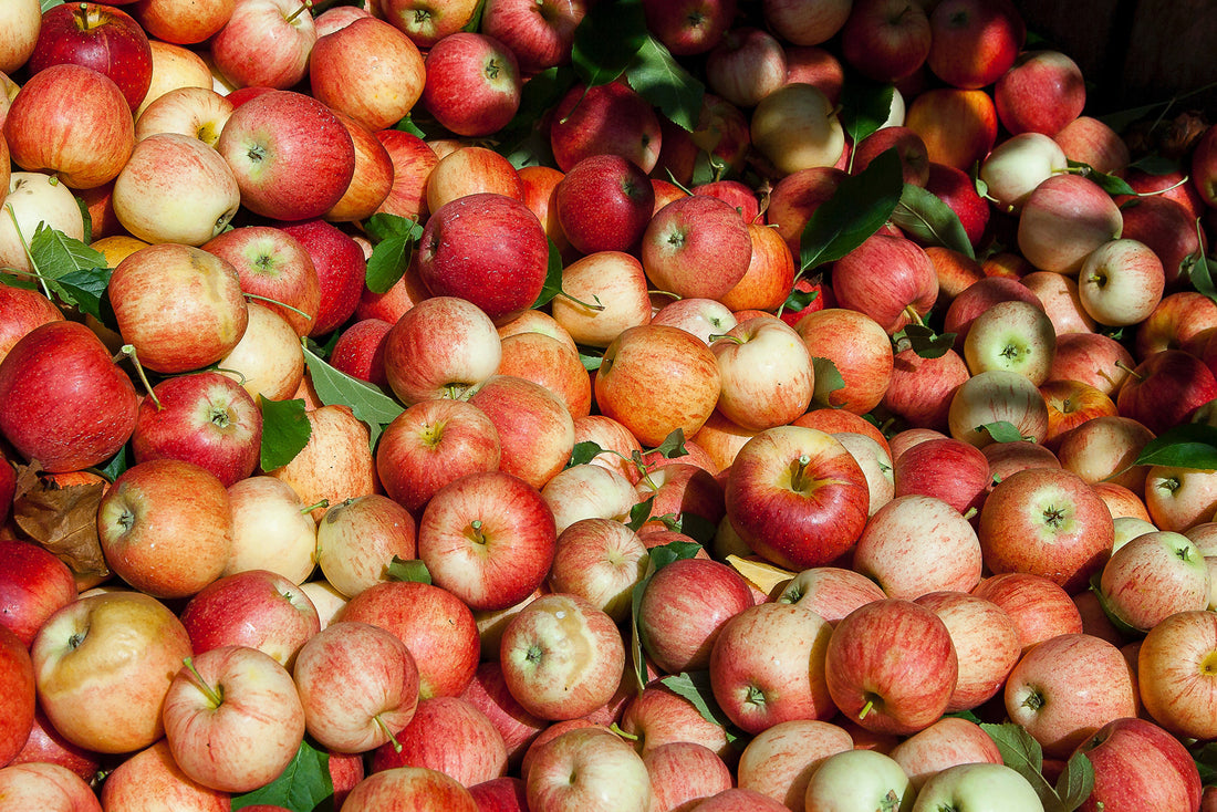 Apple Cider Vinegar for Sinus Infections