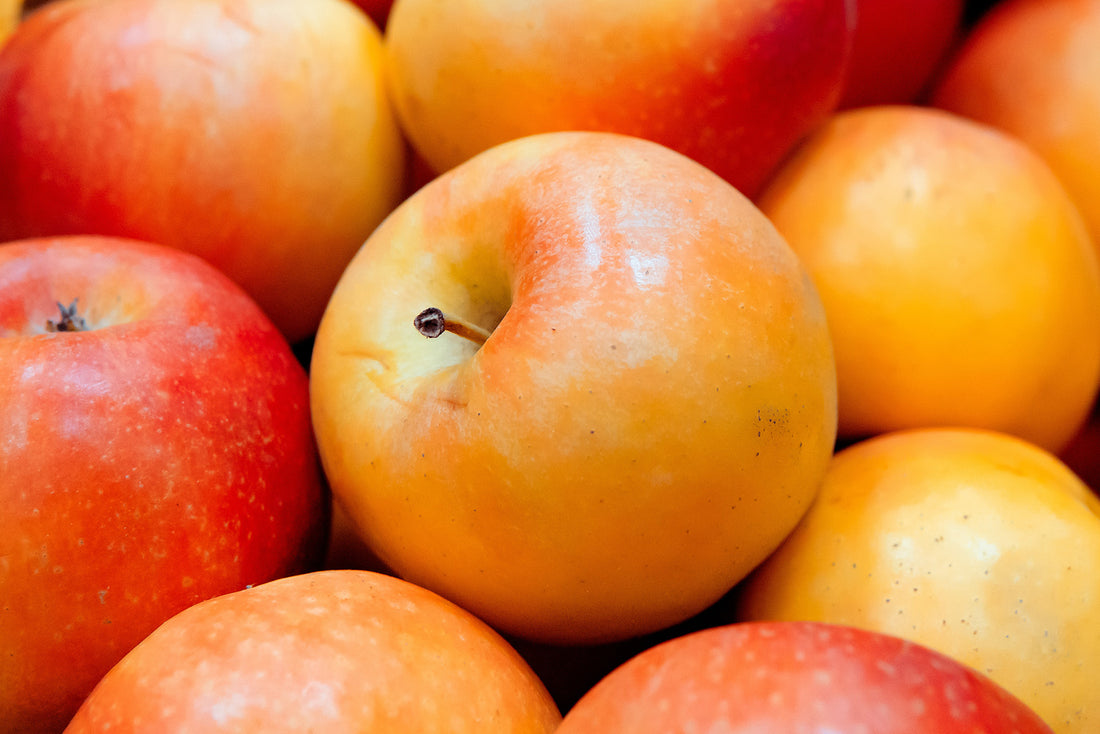 Are Apples Good for Weight Loss?