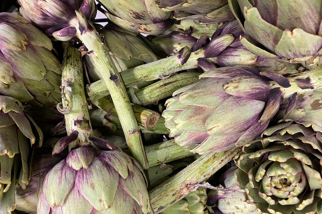 Artichoke for Dogs