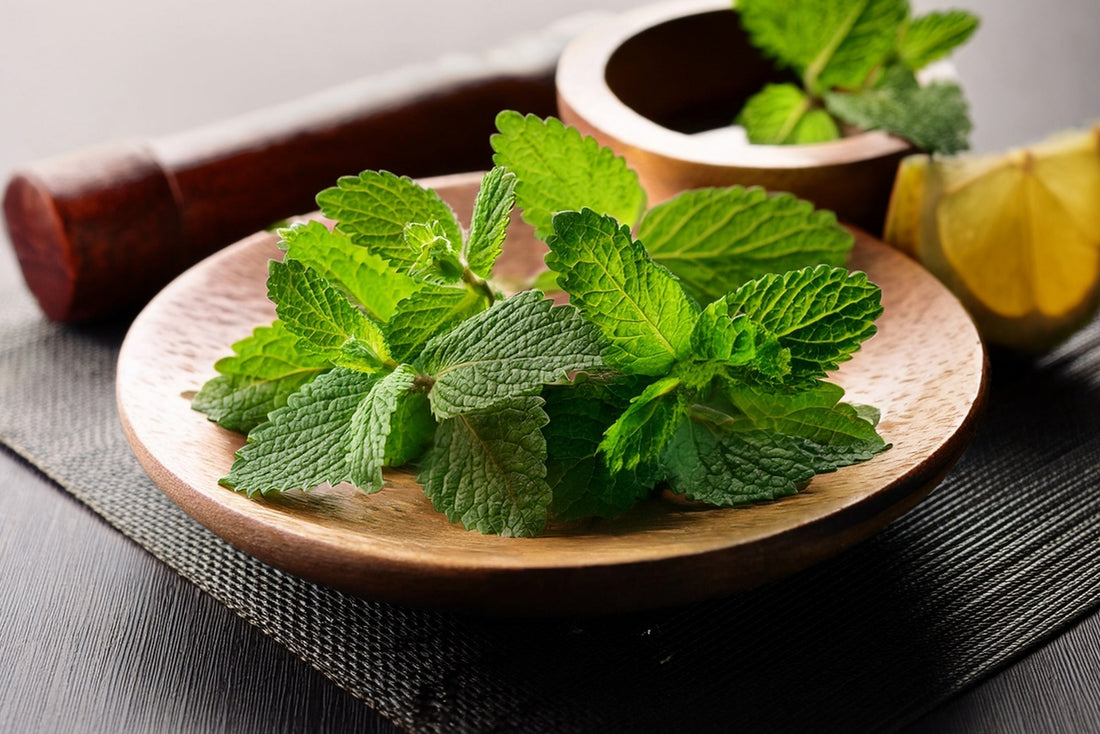 Lemon Balm and Hashimoto’s: Is This Calming Herb Safe for Thyroid Support?