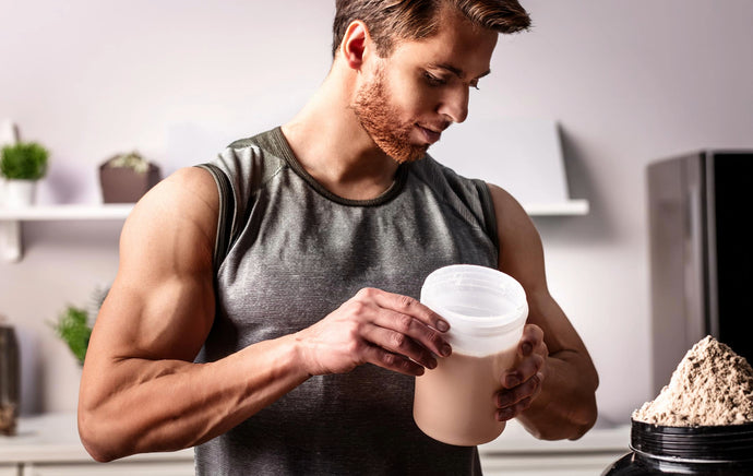 Plant-Based Powders vs. Whey: Which Is Better for Winter Workouts?