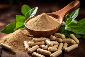 Ashwagandha vs. L-Theanine: What’s the Difference for Stress and Focus?