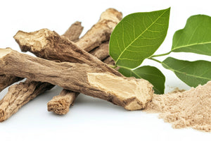 Eurycoma Longifolia (Tongkat Ali) Benefits: What It Does for Energy, Vitality, and Hormone Support