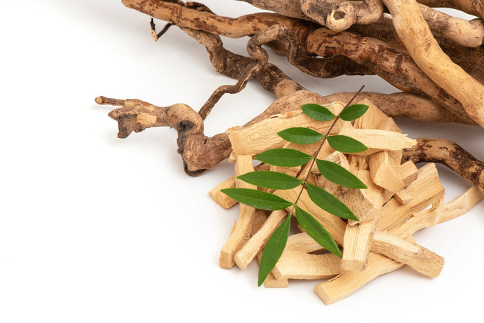 What Is Eurycoma Longifolia (Tongkat Ali)? Why Men and Women in Canada Are Talking About It