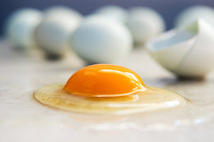 Choline vs. Milk Thistle: Which One Supports Liver Health Better?