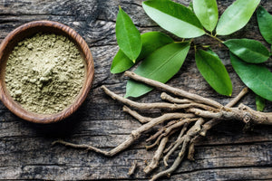 Is Tongkat Ali Safe for Blood Pressure?