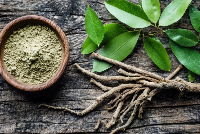 Is Tongkat Ali Safe for Blood Pressure?