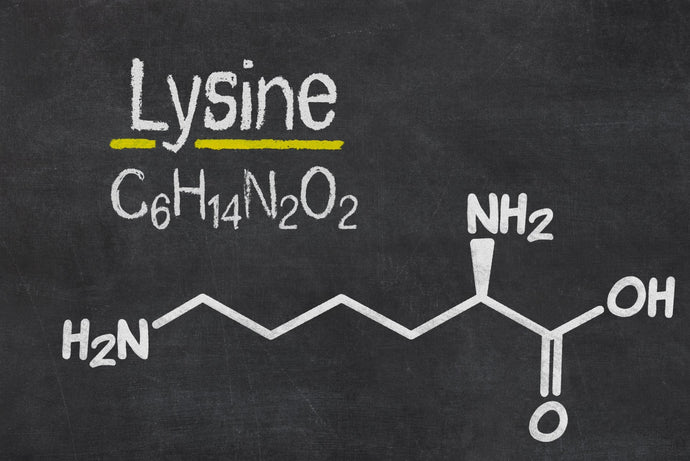Top 7 L-Lysine Benefits for Skin, Immunity, and More
