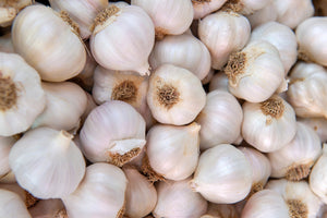 Garlic and Nerve Regeneration: A Natural Ally for Healing?