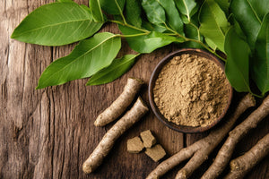 Tongkat Ali and Prostate Health: What You Should Know About PSA Levels