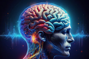 Sunflower Lecithin vs. Choline: What’s the Better Choice for Brain and Liver Health?