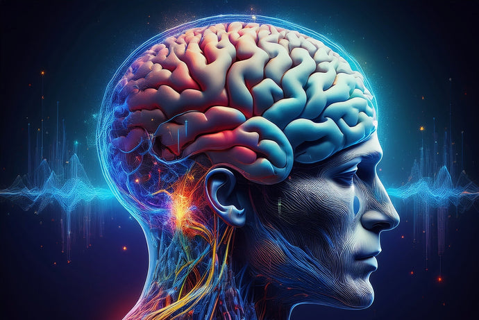 Sunflower Lecithin vs. Choline: What’s the Better Choice for Brain and Liver Health?