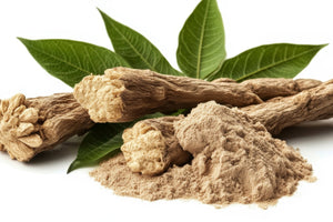 Can Tongkat Ali Cause Prostatitis? What Men Need to Know About This Herb