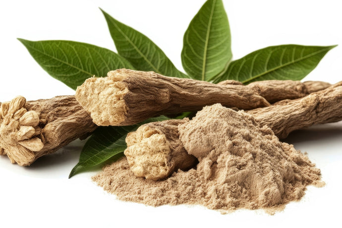 Can Tongkat Ali Cause Prostatitis? What Men Need to Know About This Herb