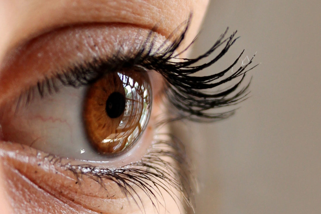 Ashwagandha benefits for Cognitive and Eye Health