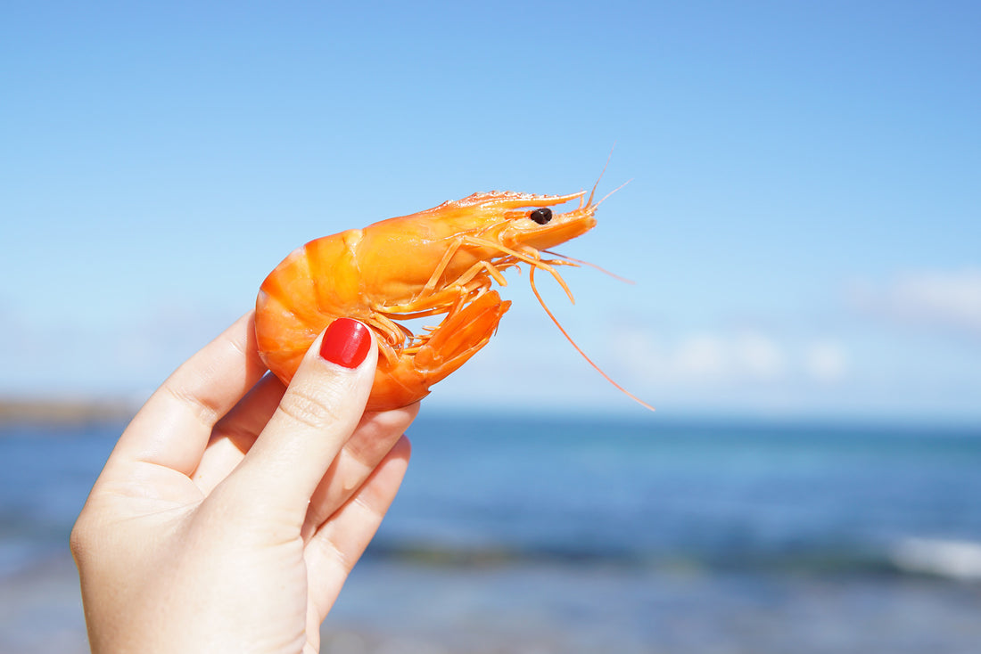 Astaxanthin for Immune Support