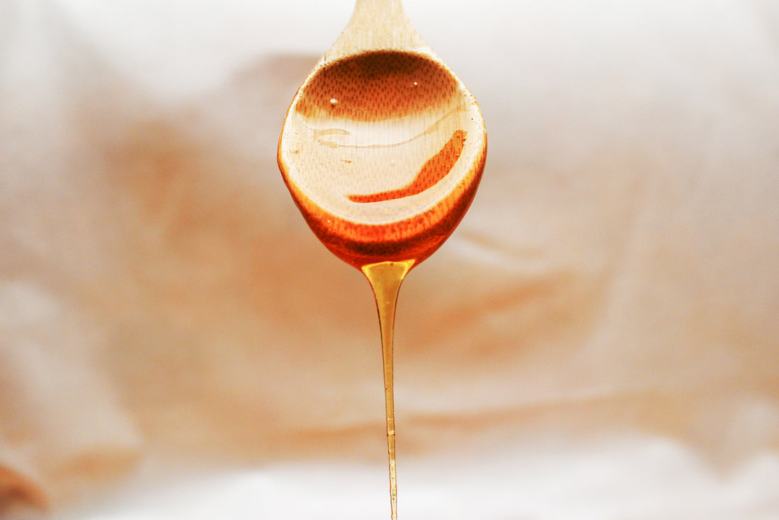 Bee Propolis and Immune System Support