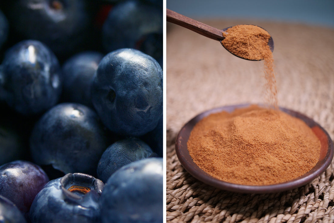 Bilberry Extract and Pine Bark Extract