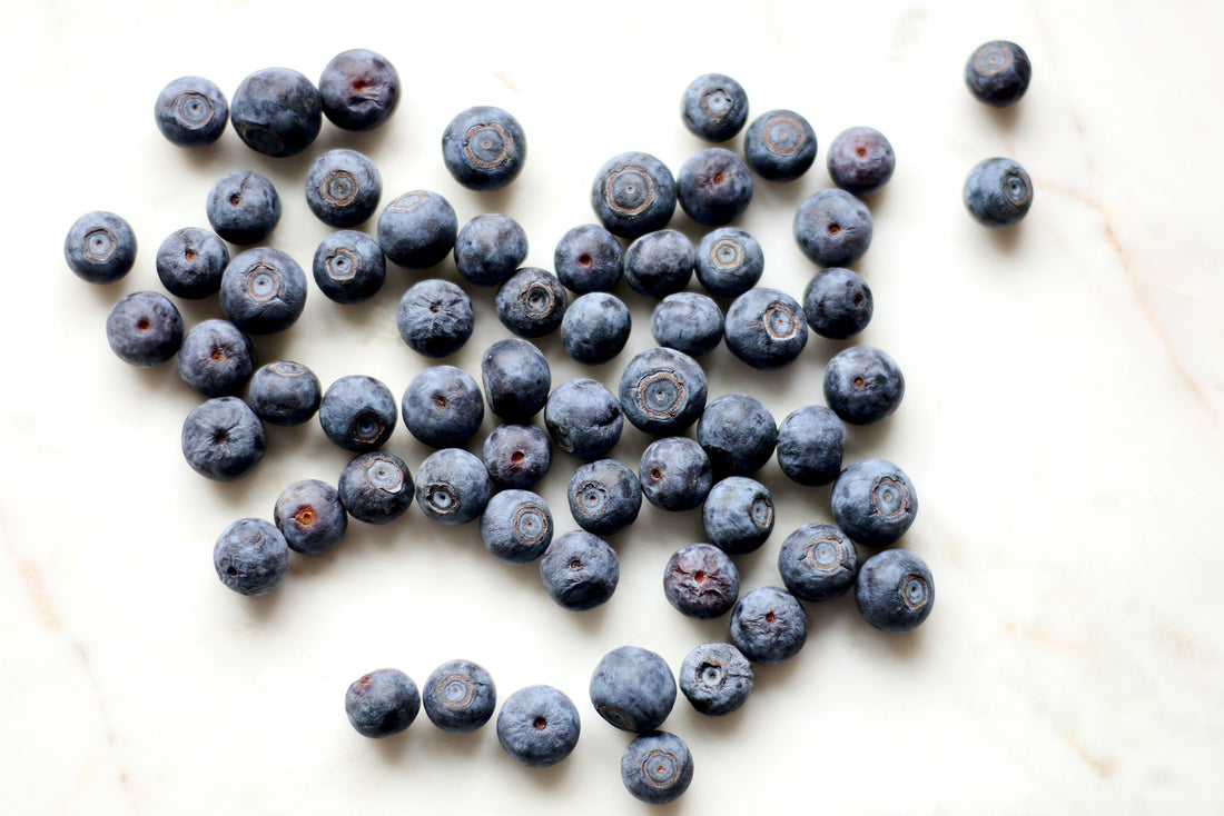 Bilberry Extract for Varicose Veins
