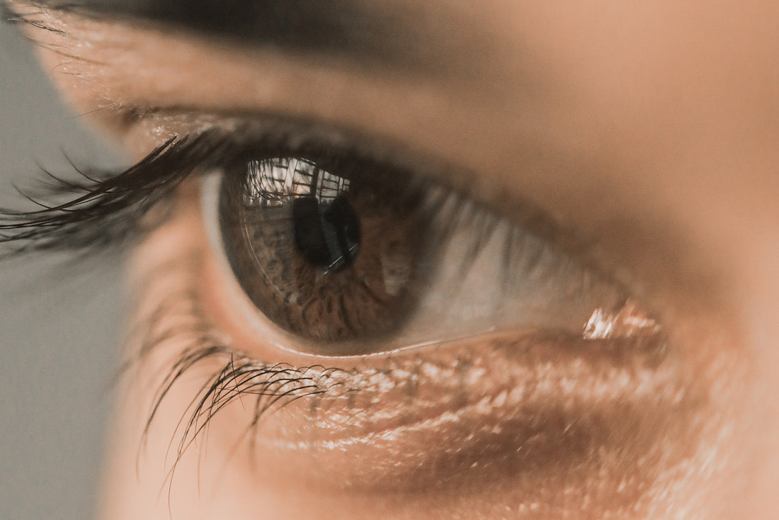 Bilberry Powder for Eyes