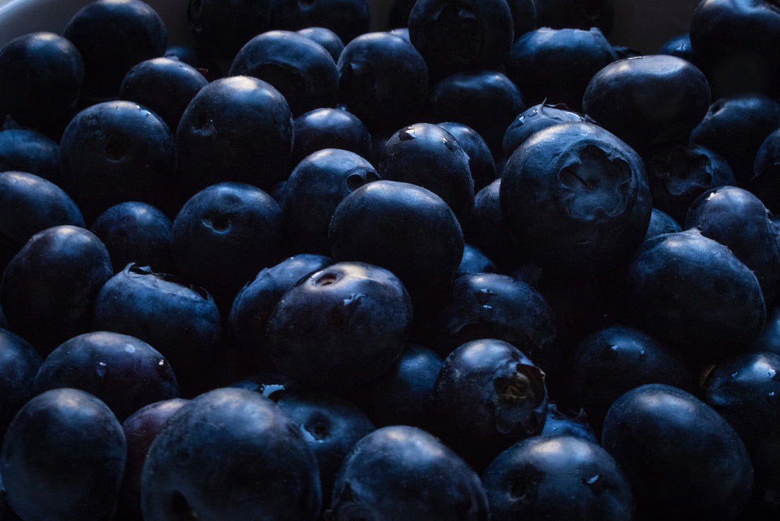 Bilberry and Blood Pressure