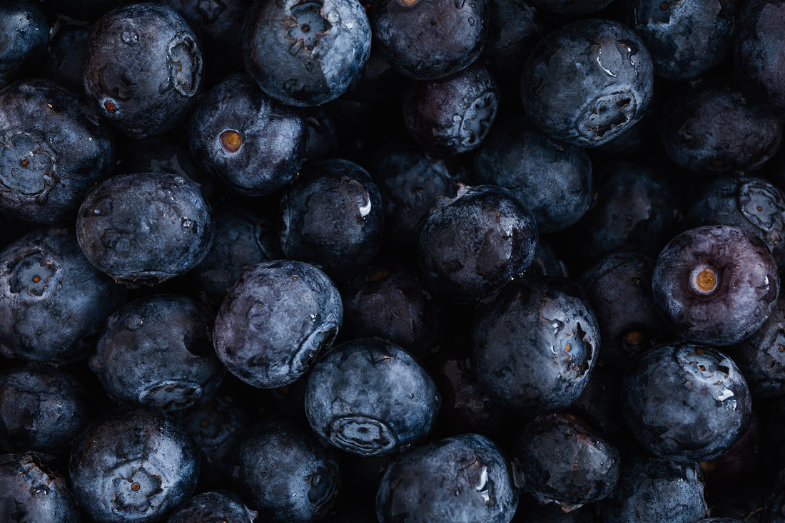 Bilberry for Retinal Health