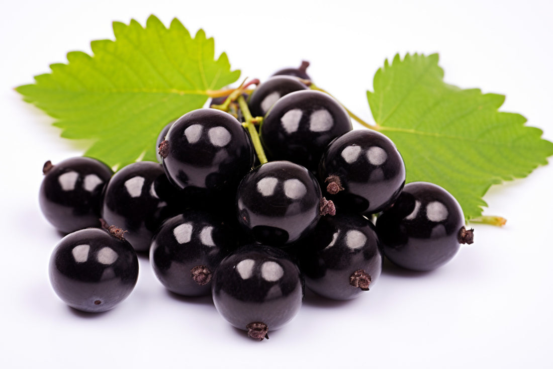 Black Currant for Radiant Skin