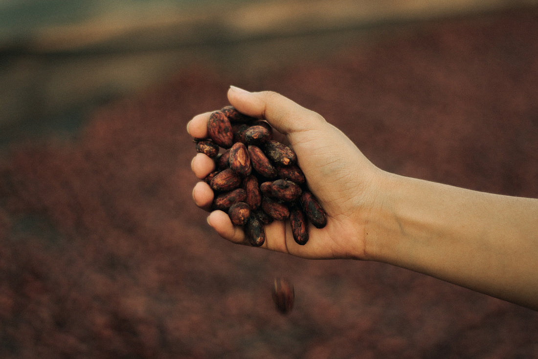 Cacao Powder Benefits for Skin Health