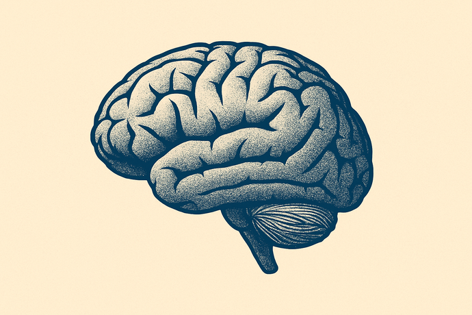 Choline Bitartrate: A Smart Choice for Brain and Liver Support?