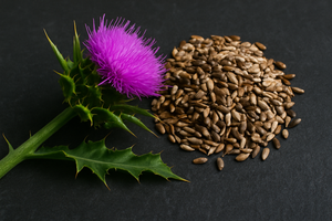 Is Milk Thistle Estrogenic