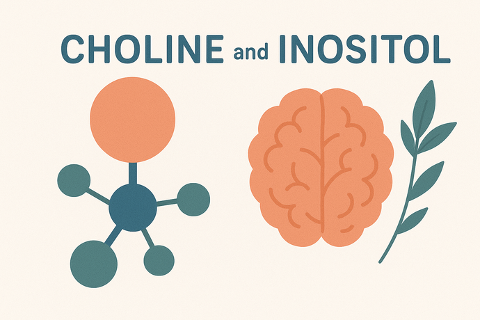 Choline and Inositol Benefits: A Brain and Body Boost