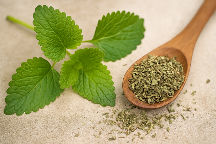 Lemon Balm for Hyperthyroidism: Can This Calming Herb Help Balance Your Thyroid?