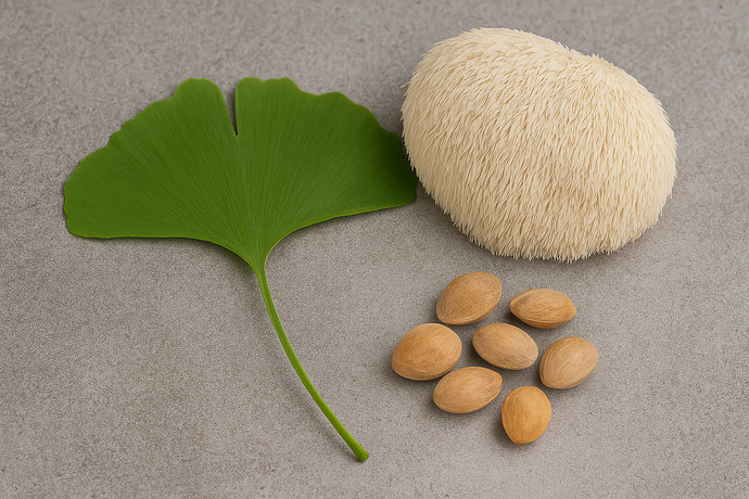 Ginkgo and Lion’s Mane: Brain-Boosting Mushrooms and Herbs Compared