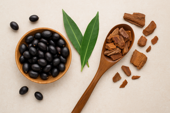 Saw Palmetto vs Pygeum: Which Herbal Supplement Is Right for You?