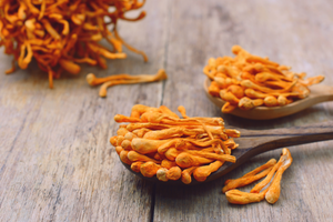 Cordyceps supplement: Who is it for?