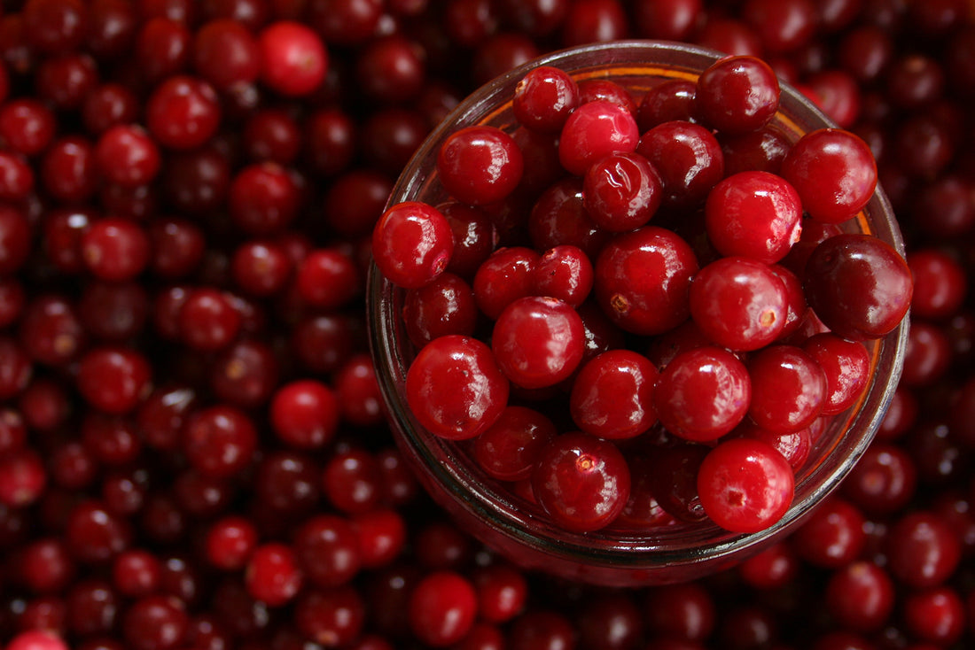 Cranberry Extract for UTI (Urinary Tract Infection)