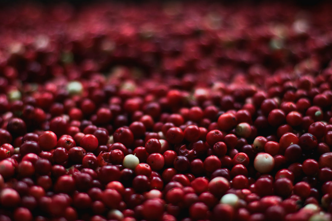 Cranberry Extract for Weight Loss